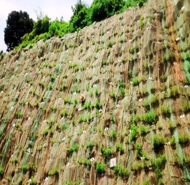 Reinforced Earth Structure using geosynthetic solutions in India